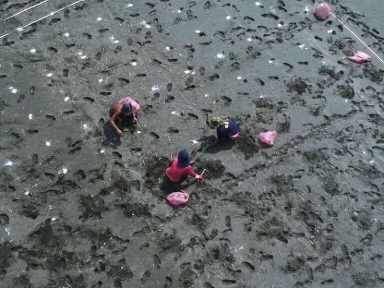 無人機考照教學 —屏東林業局造林計劃 S__136953969_0