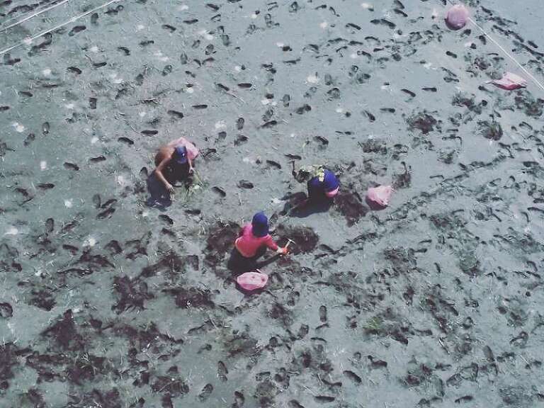 無人機考照教學 —屏東林業局造林計劃 S__136953967_0